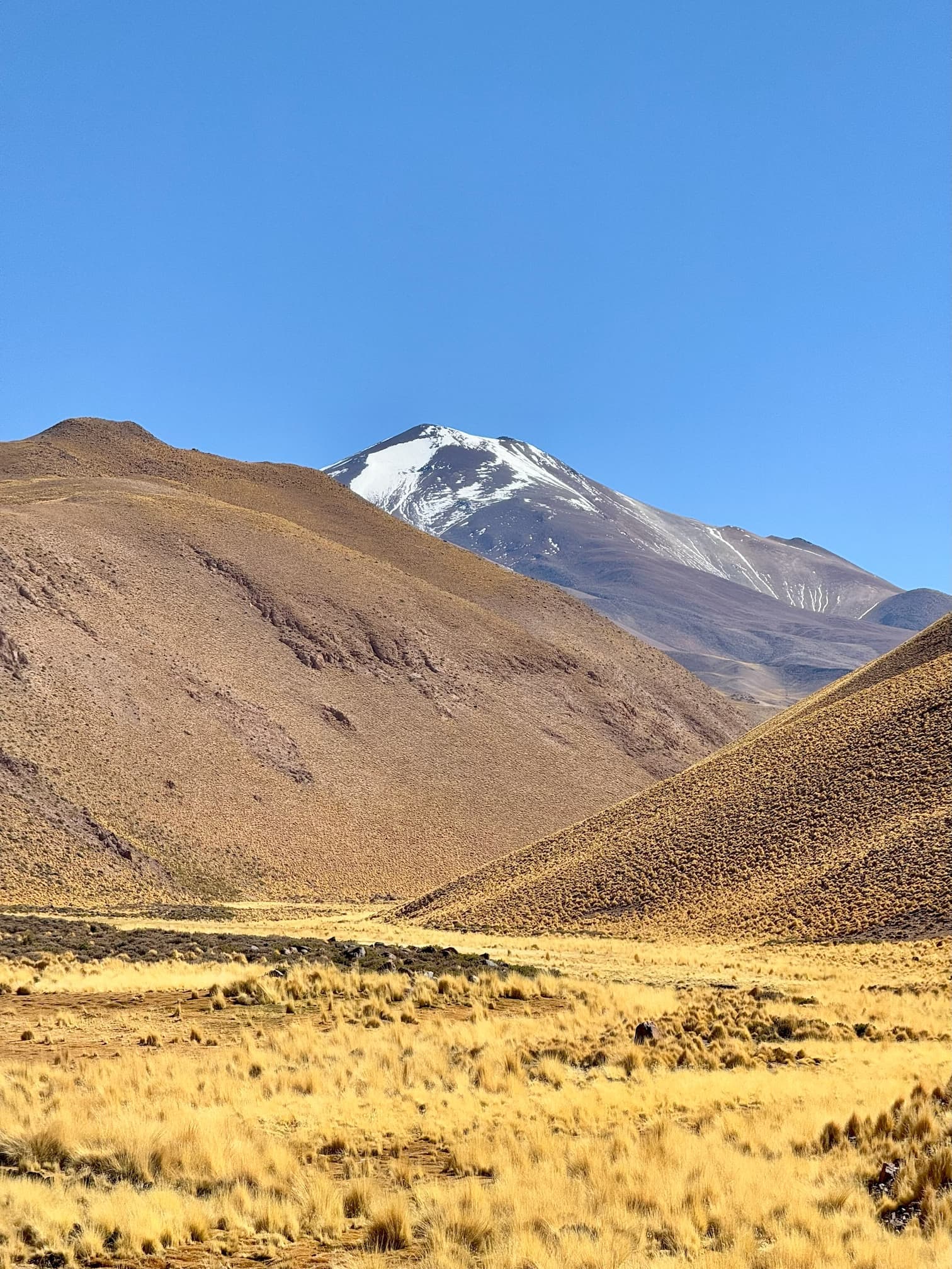 Volcán Quewar