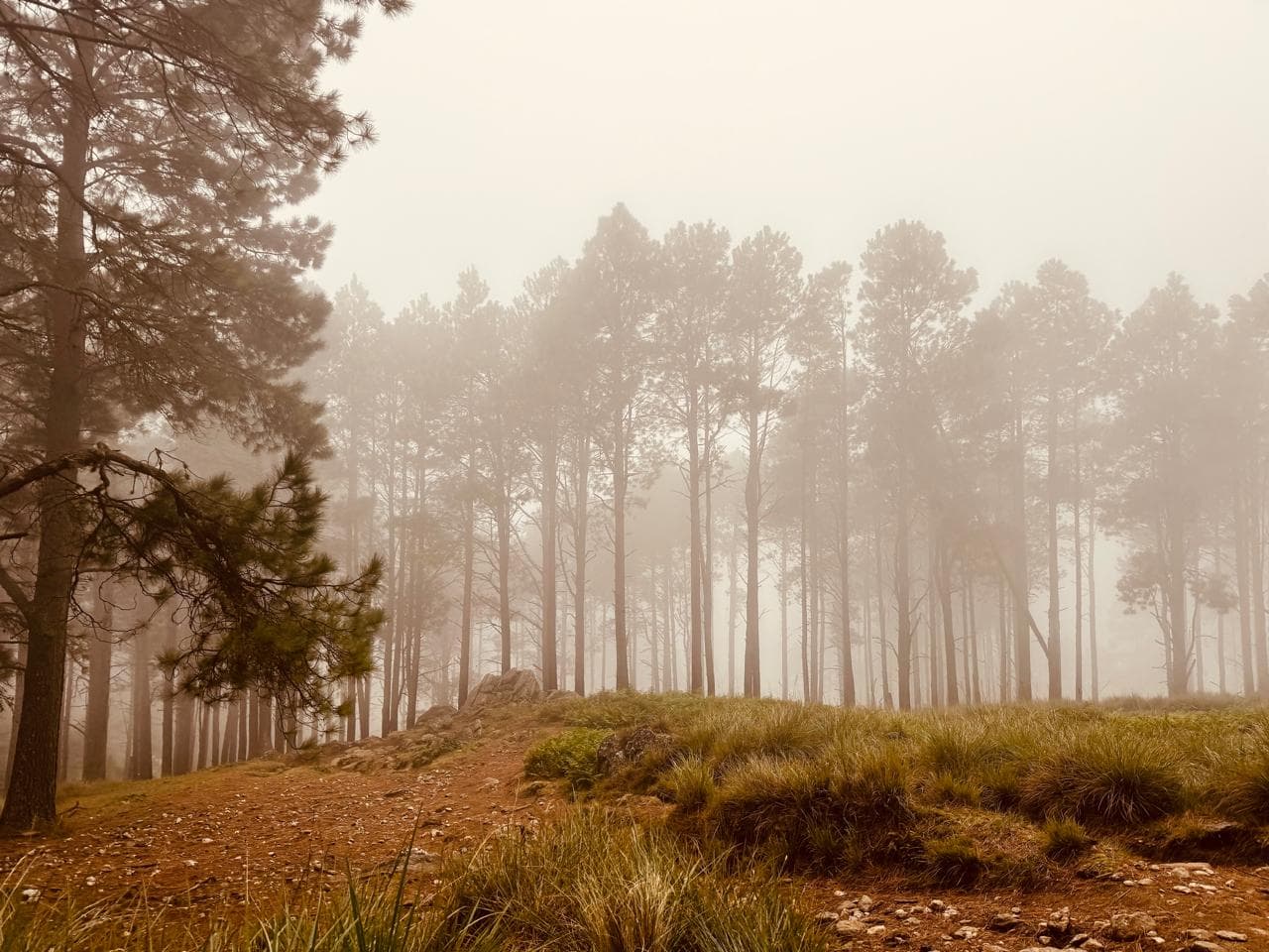 Cerro Champaquí - Foto 3
