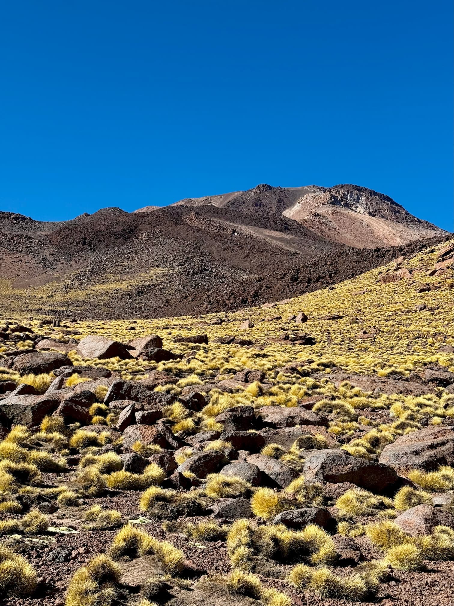 Volcán Tuzgle - Foto 2